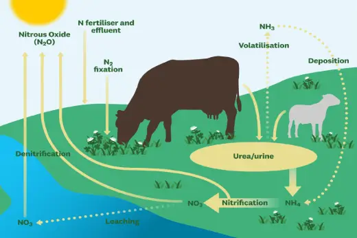 Environmental Impact-Nitrous-Oxide-by fazal sons