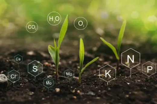 Utilizing Nitrogen in Fertilizer by fazal sons nitrogen